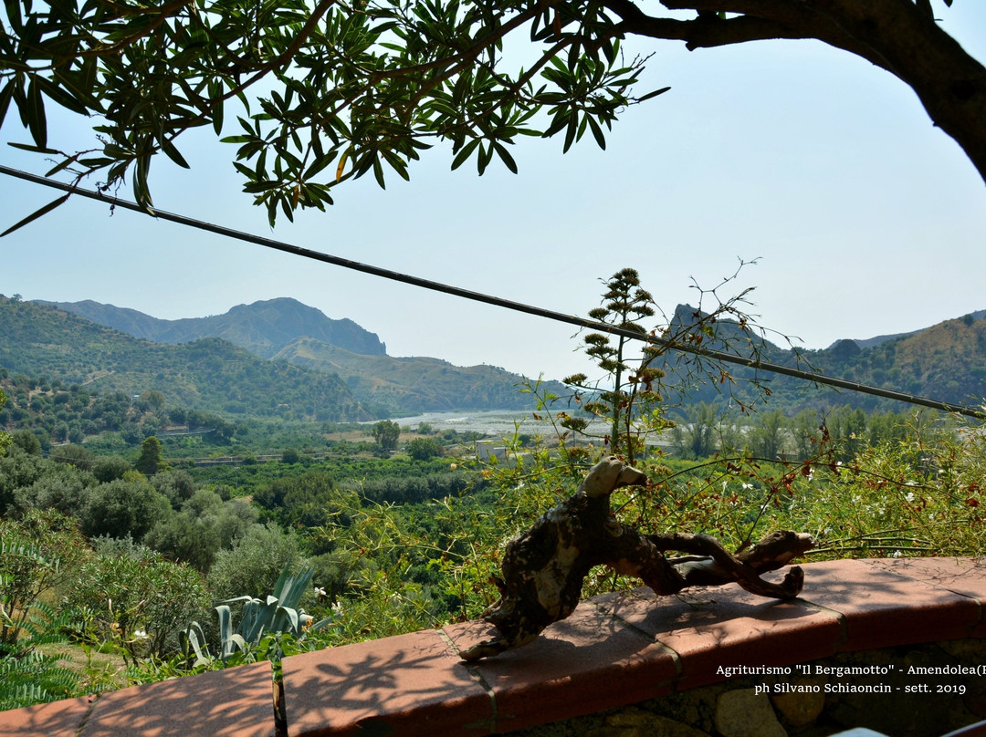 Agriturismo Il Bergamotto主图