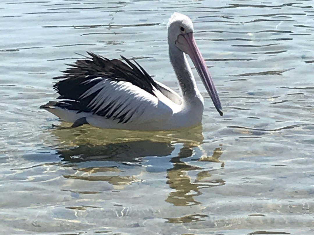 墨尔本中文小团精致游-墨尔本必去景点