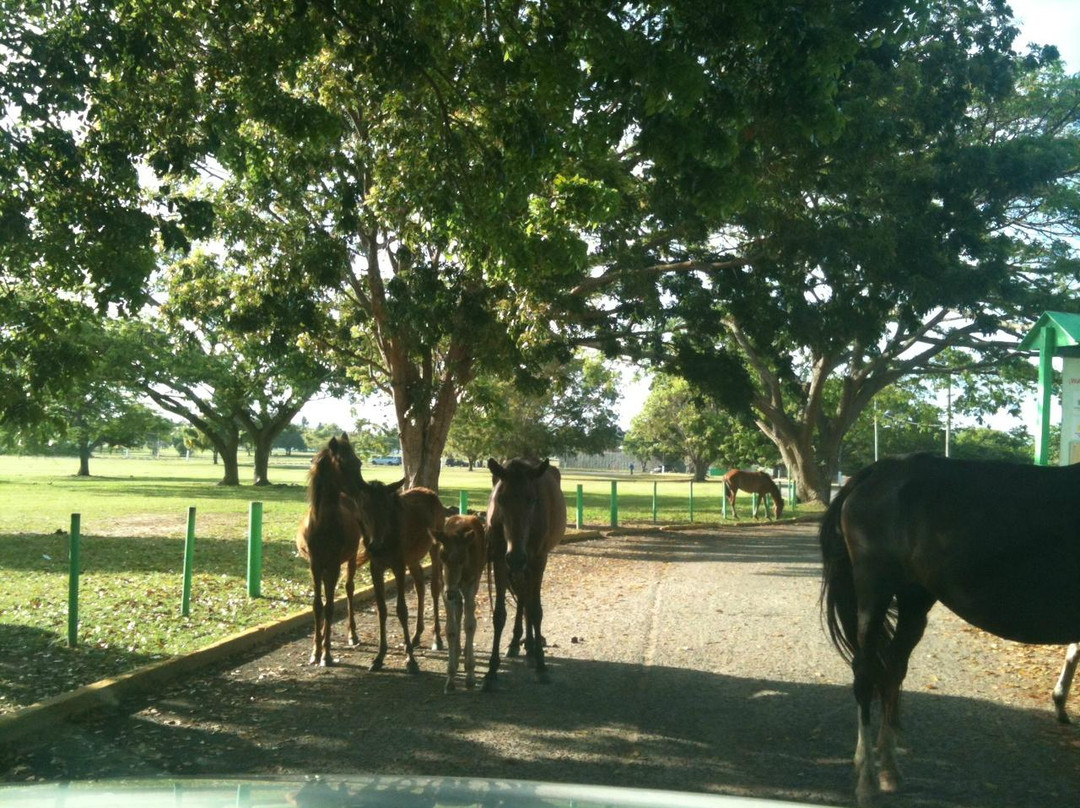 Highway 997-维切克岛必去景点