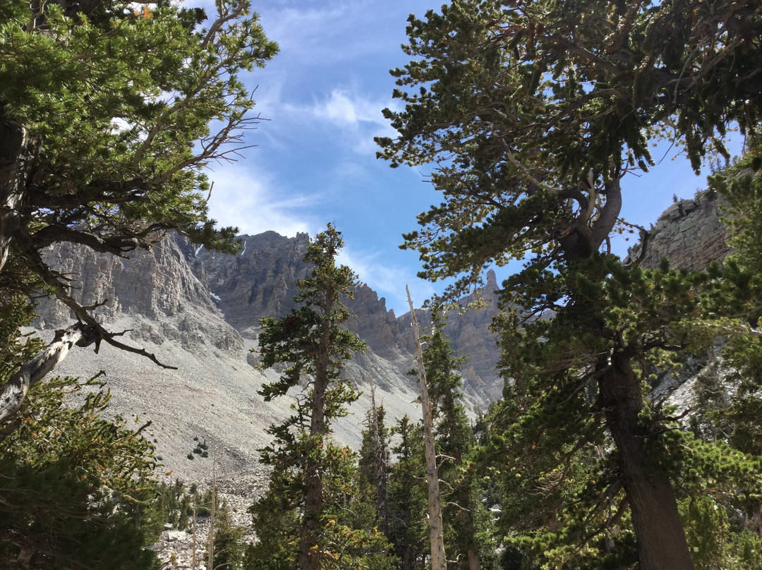Bristlecone Trails-Great Basin National Park必去景点