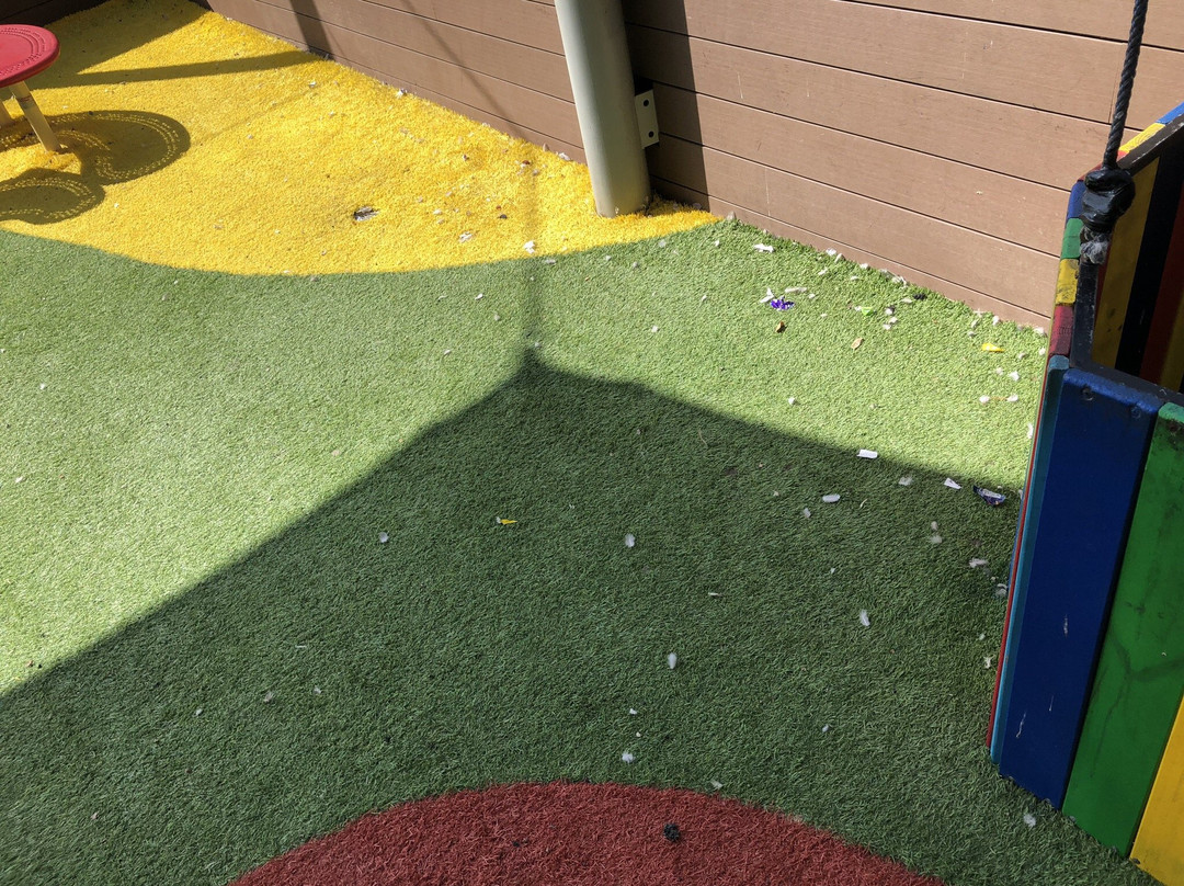 Lunada Children's Museum-贝尔谢巴必去景点