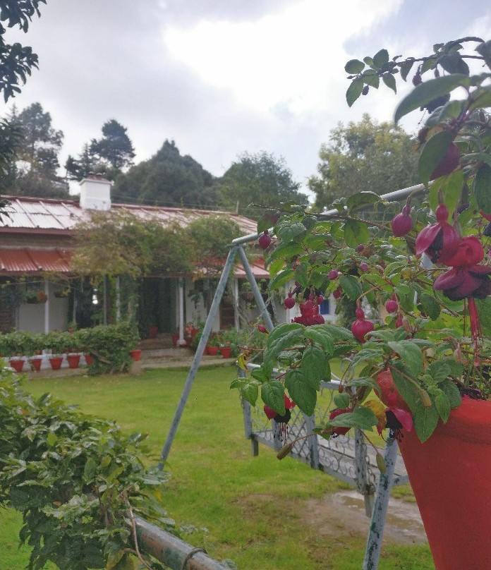 Somerset Lodge主图