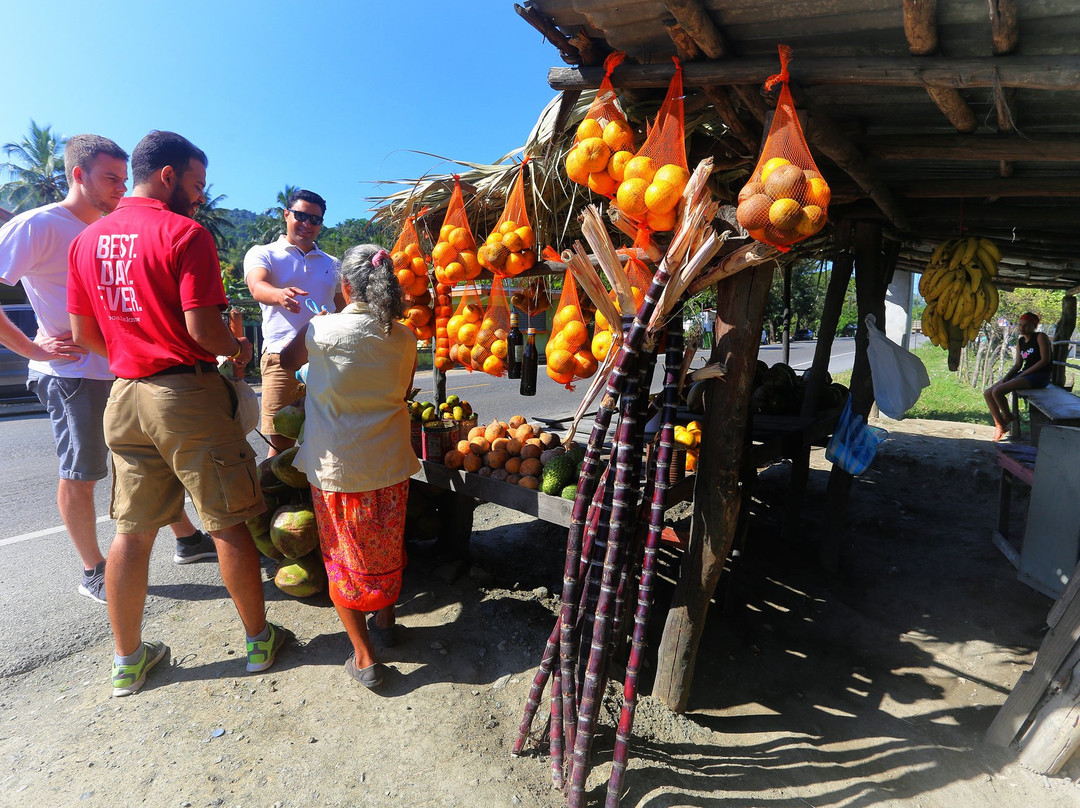 Puerto Plata Dominican Adventures-普拉塔港必去景点