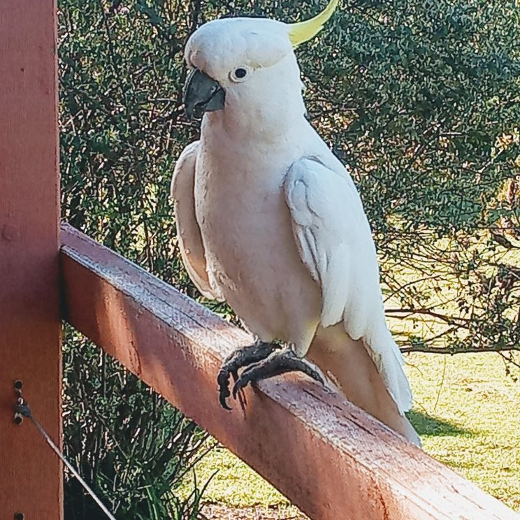 Grampians National Park-维多利亚必去景点