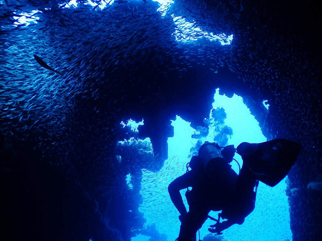 Sail Caribbean Divers-Road Town必去景点
