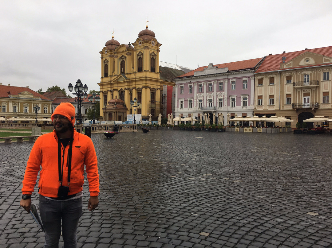 Timisoara Free Walking Tour景点图片