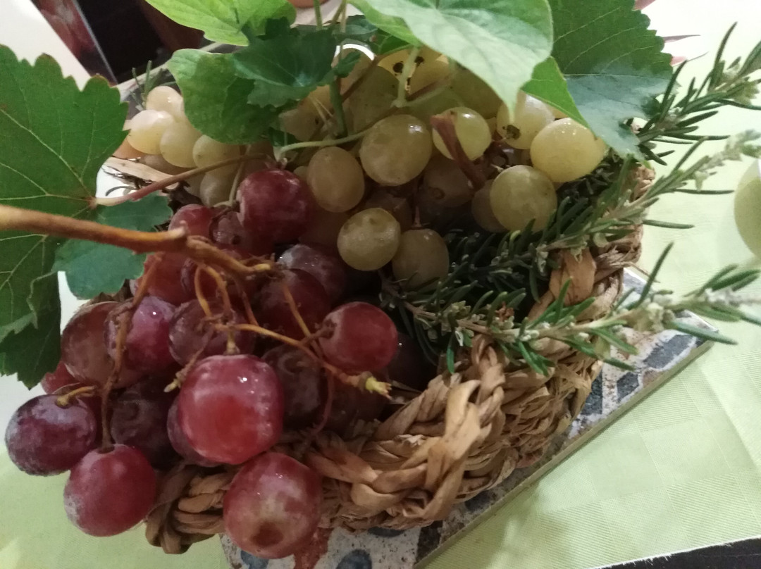 海港住宿加早餐酒店主图