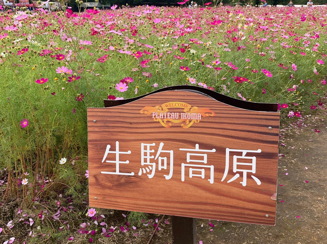 Ikoma Highlands景点图片