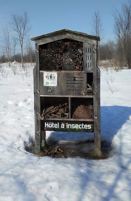 Bois de l'Équerre-拉瓦尔必去景点