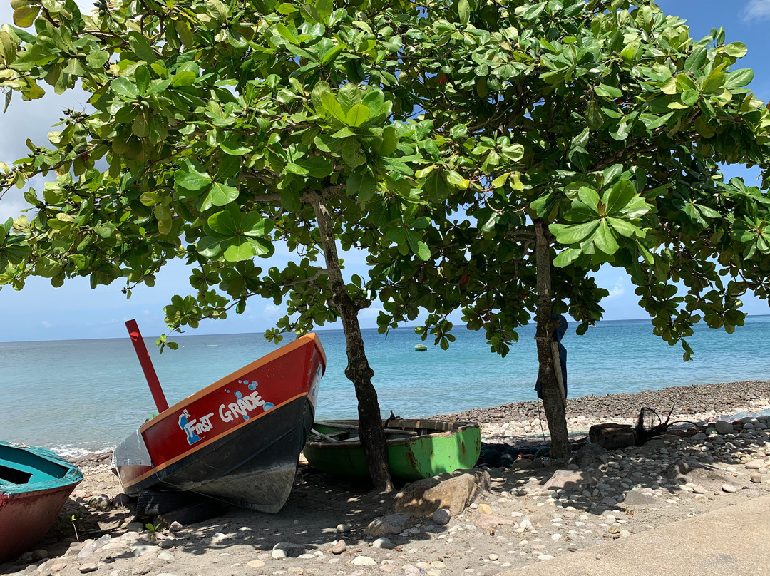 Chris's Tours and Taxi-St. George's必去景点