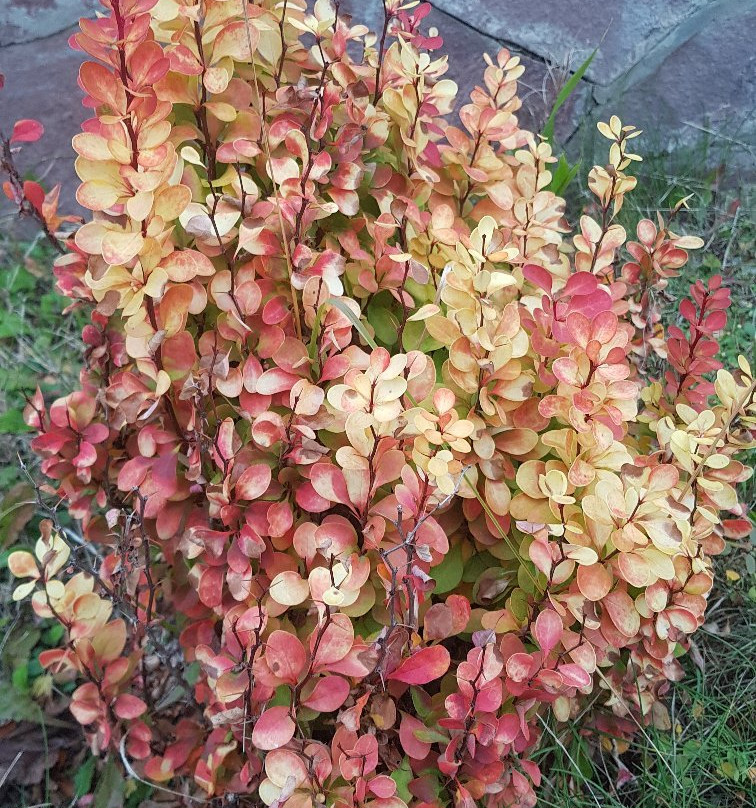 Uvat Grand Hotel主图