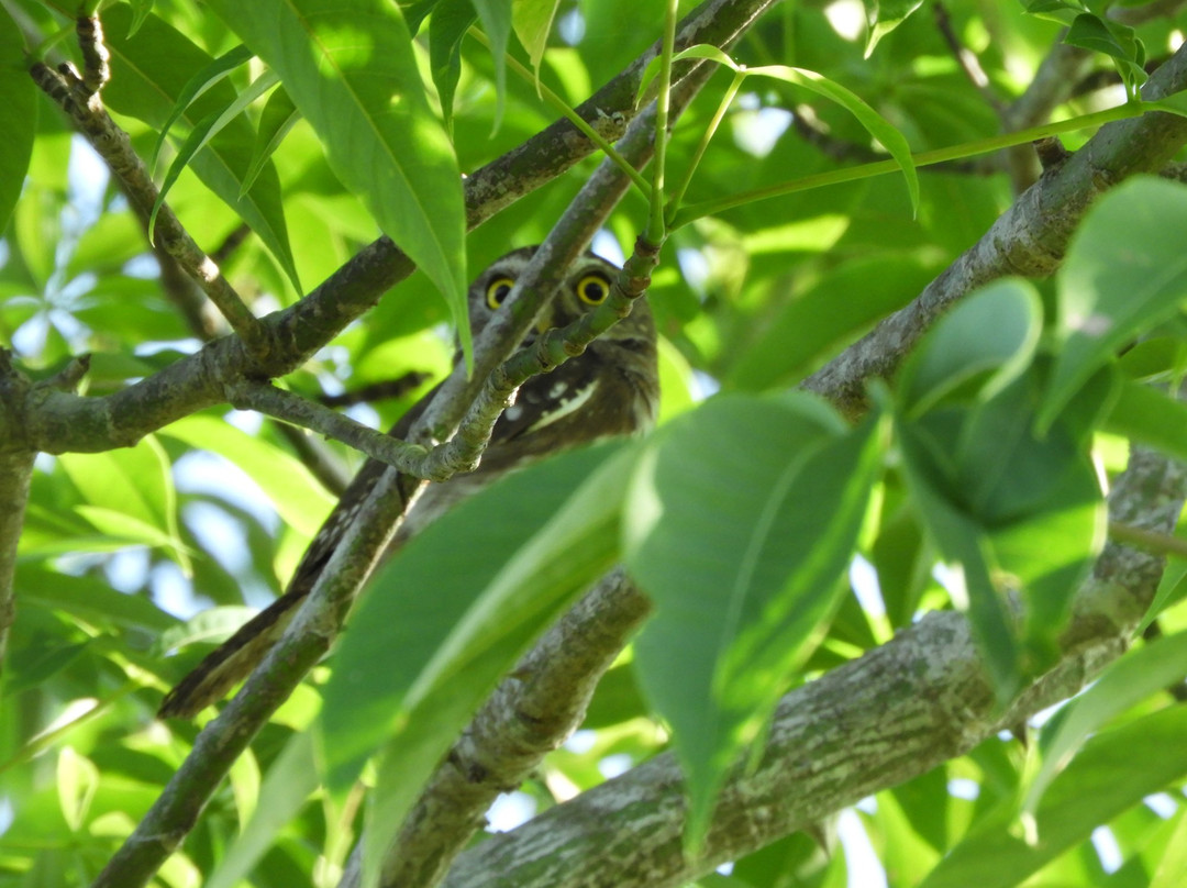 Reserva Toh-从莫雷洛斯港必去景点