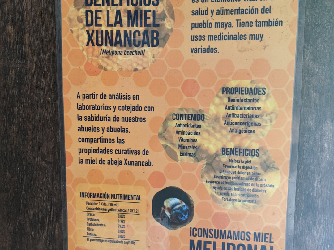 Meliponario "u Naajil Yuum K'iin"