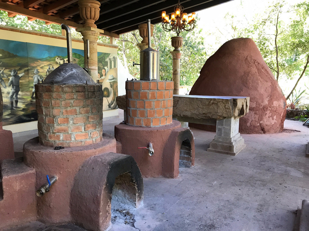 Ahuacatlan旅游景点-Jardin Botanico Haraveri