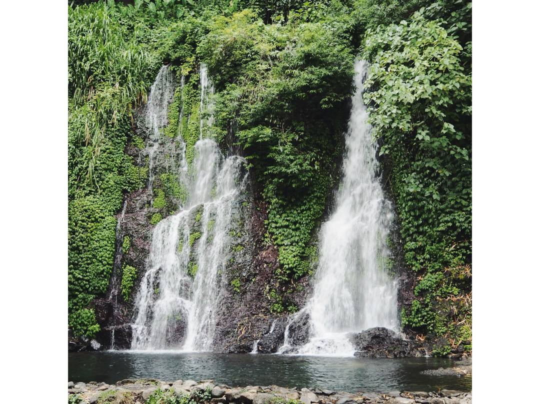 Kawah Ijen Guest House主图