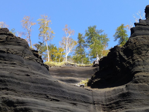 冨士エコツアー・サービス-富士河口湖町必去景点