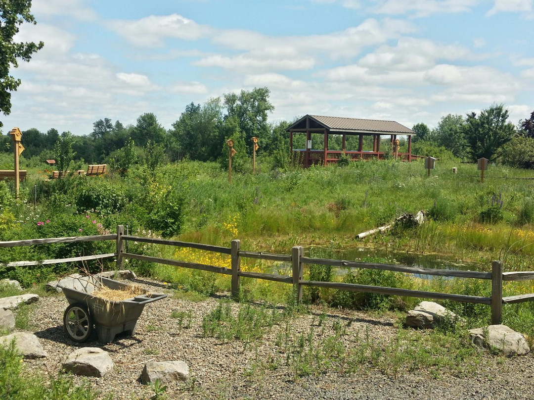 希尔斯伯勒旅游景点-Jackson Bottom Wetlands Preserve