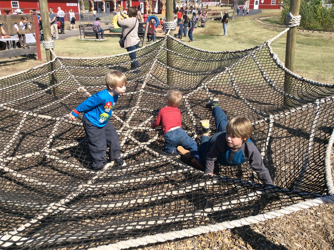 Orr Family Farm-俄克拉何马城必去景点