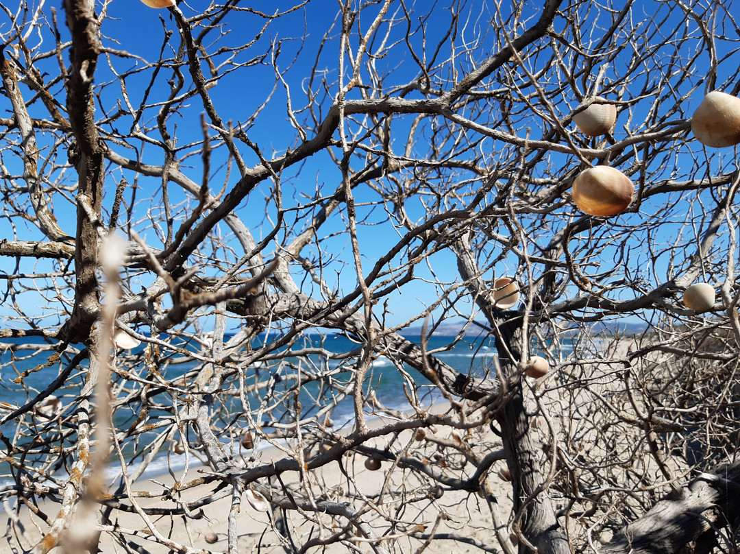 Platamona Beach-Marina di Sorso必去景点