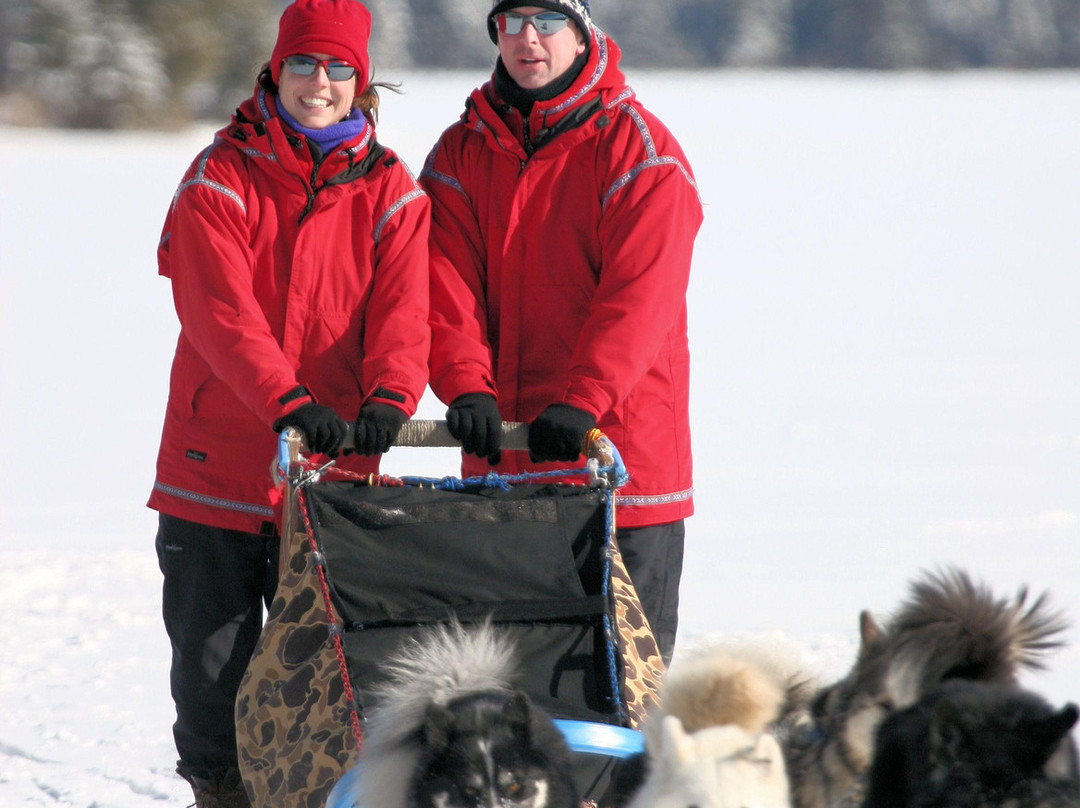 Wintergreen Dogsled Day Trips-伊利必去景点