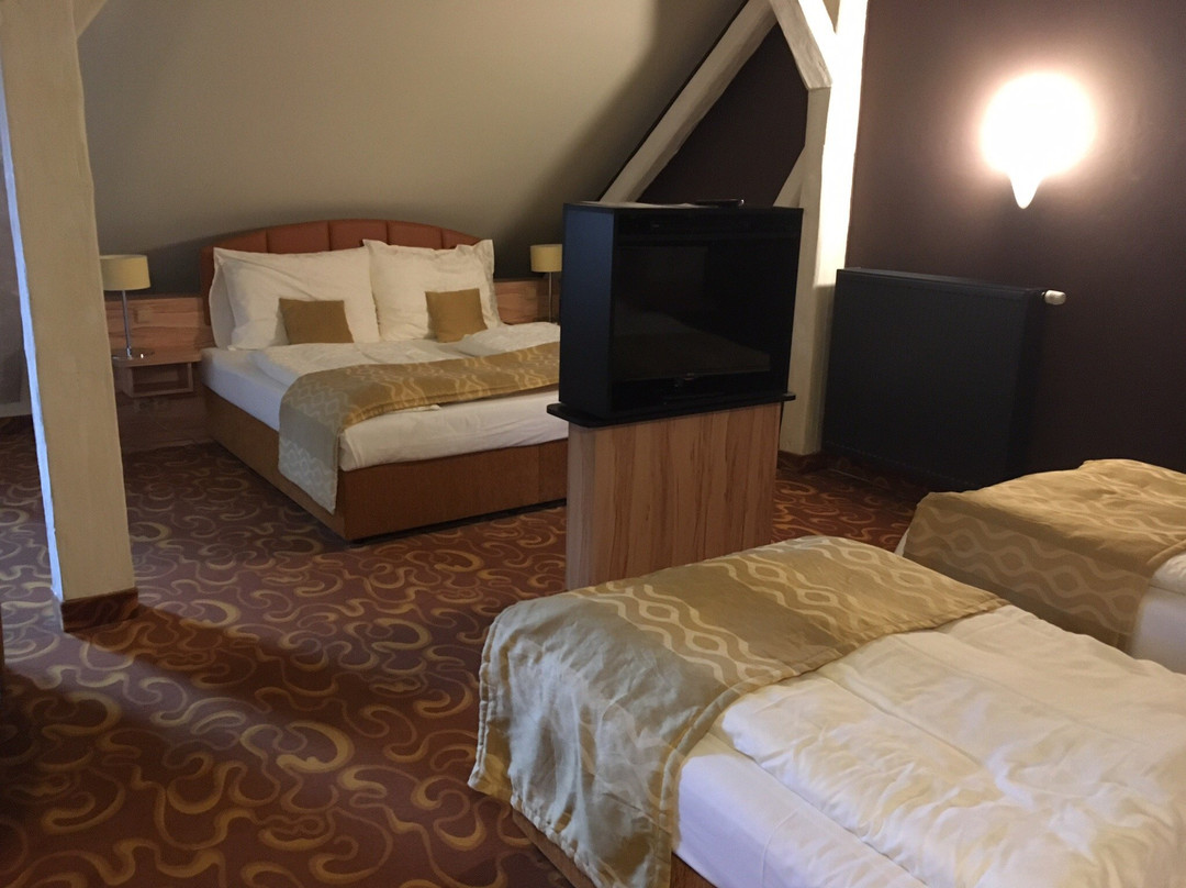 Hotel Zlata Vcela主图