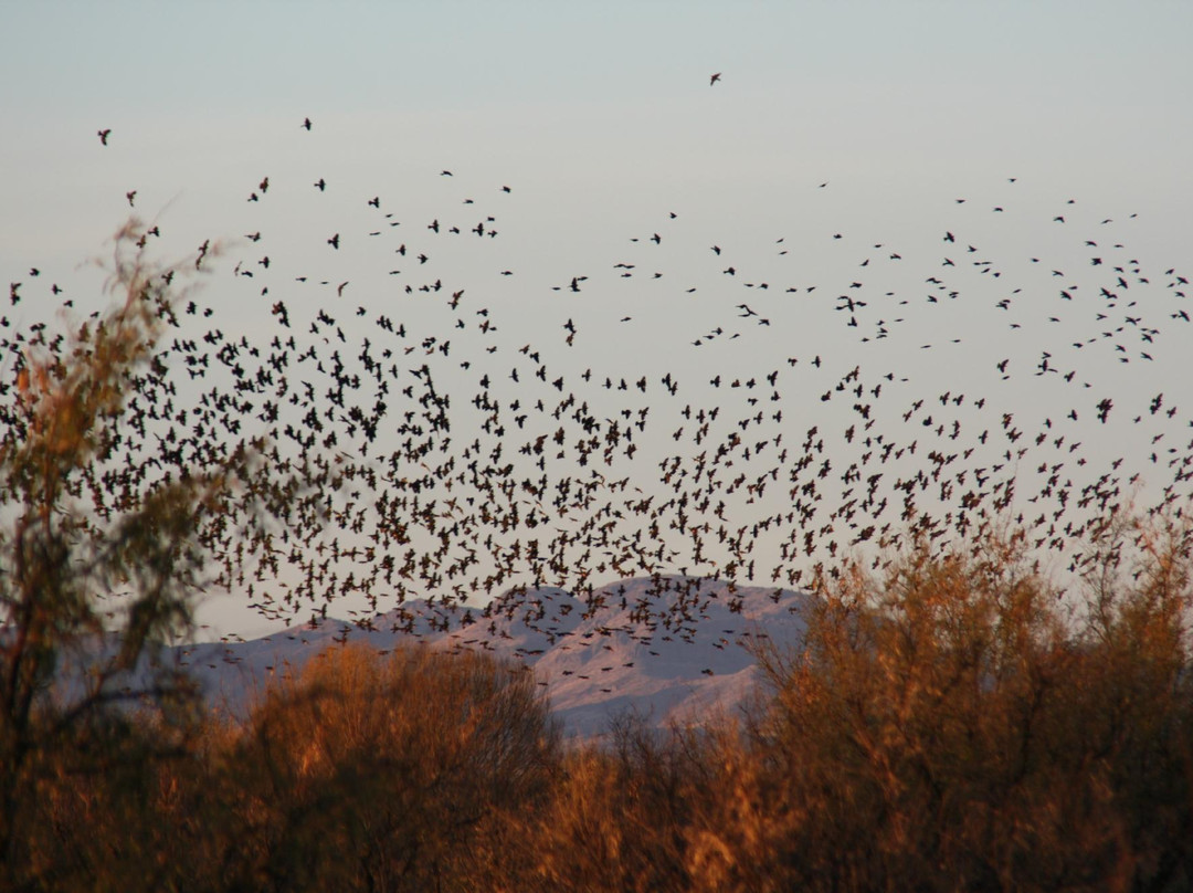 Apache Station Wildlife Area