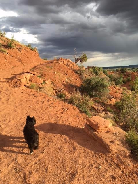 K-Hill trail-卡纳布必去景点