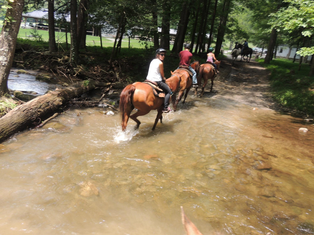 Cades Cove Riding Stables-汤森必去景点