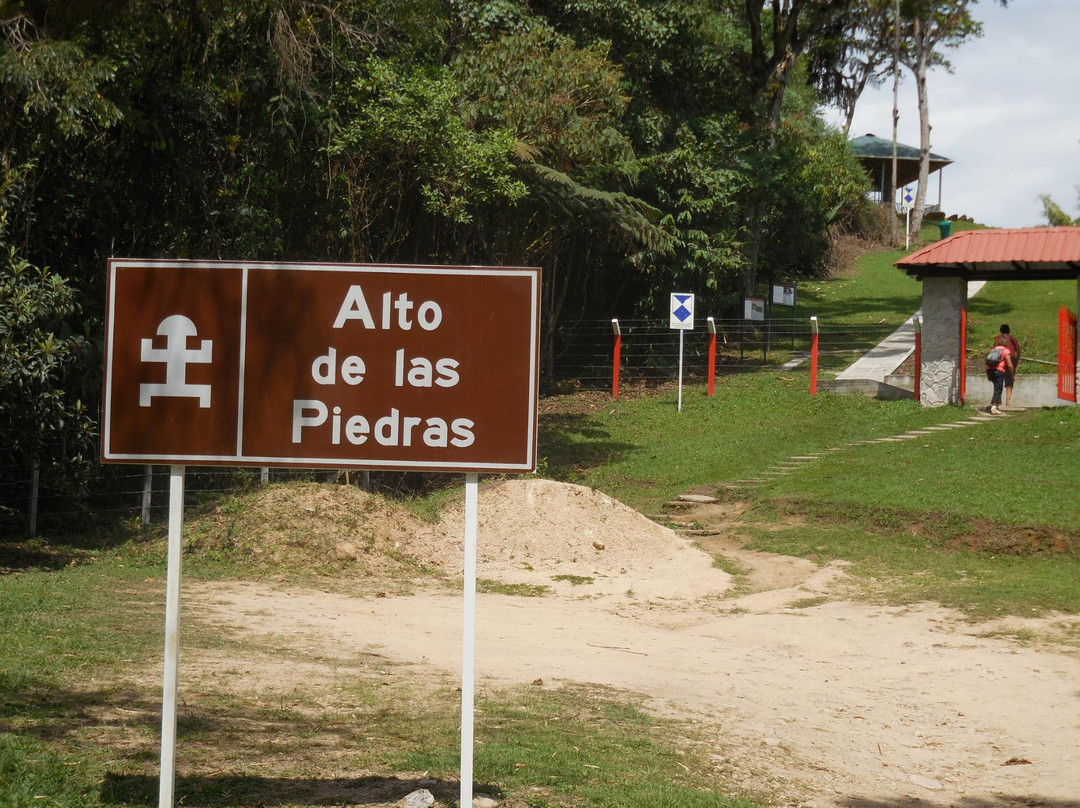 Alto de Las Piedras Archaeological Park
