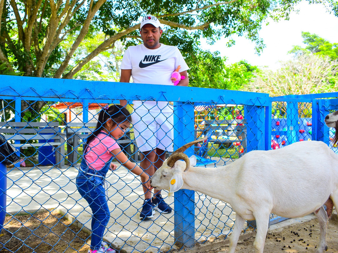 Ranch Texas-Baranoa必去景点