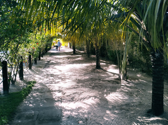 Village Miramar主图