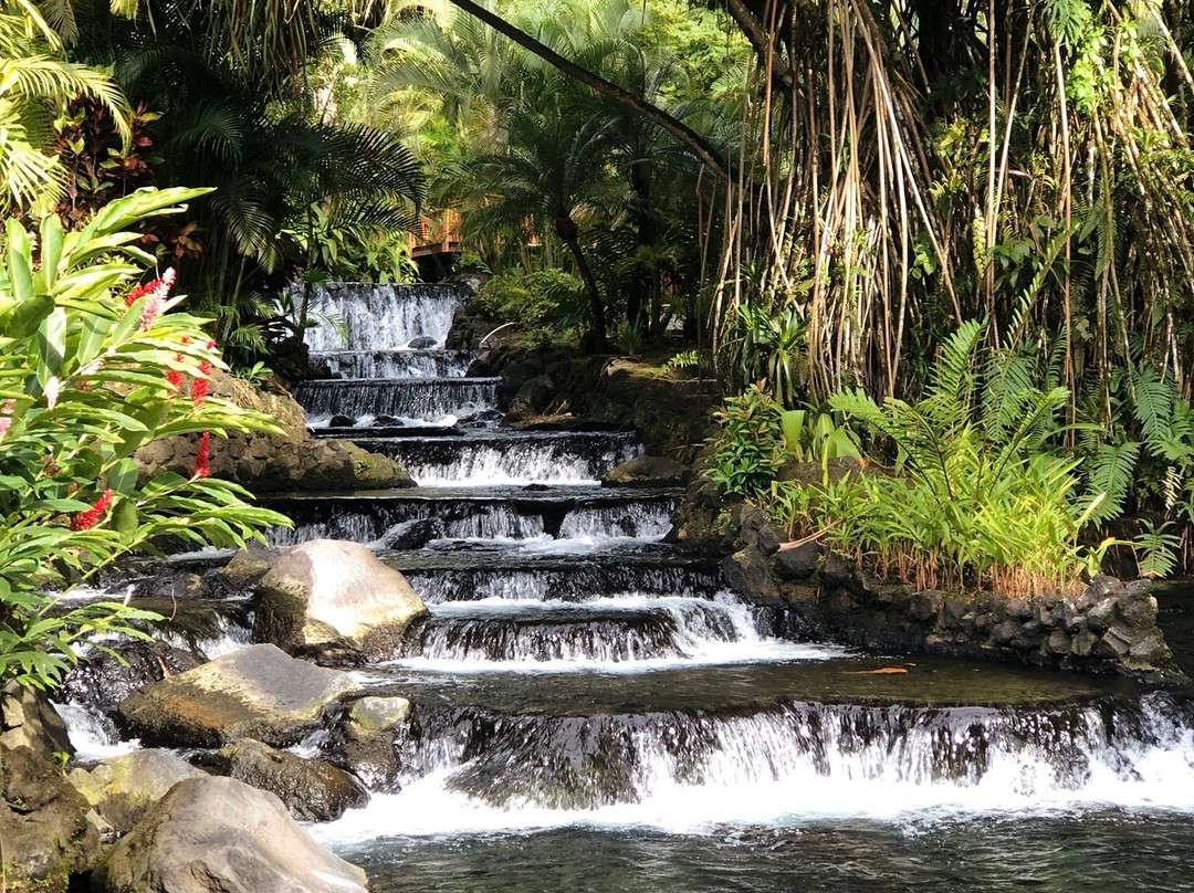 Marbella Tours - Day Tours-圣何塞必去景点