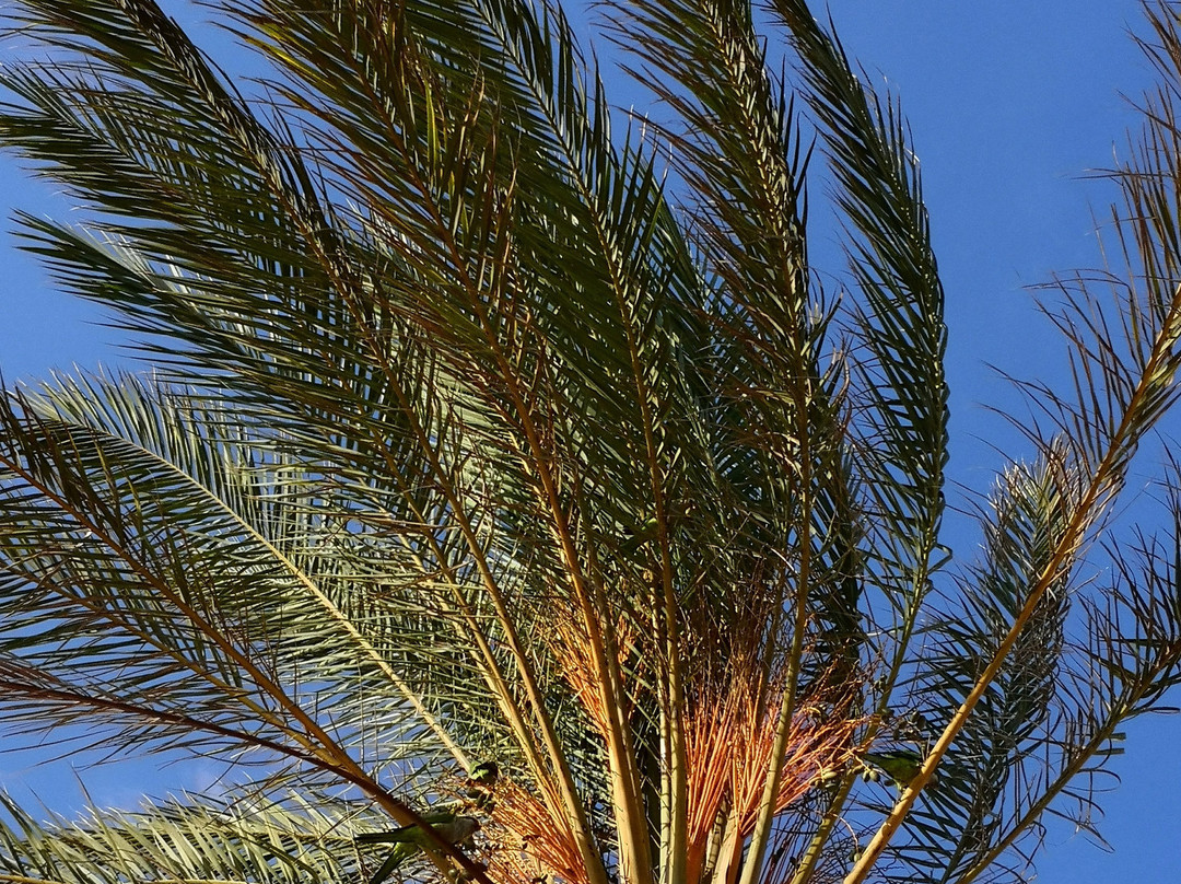 Hotel Natura Park主图