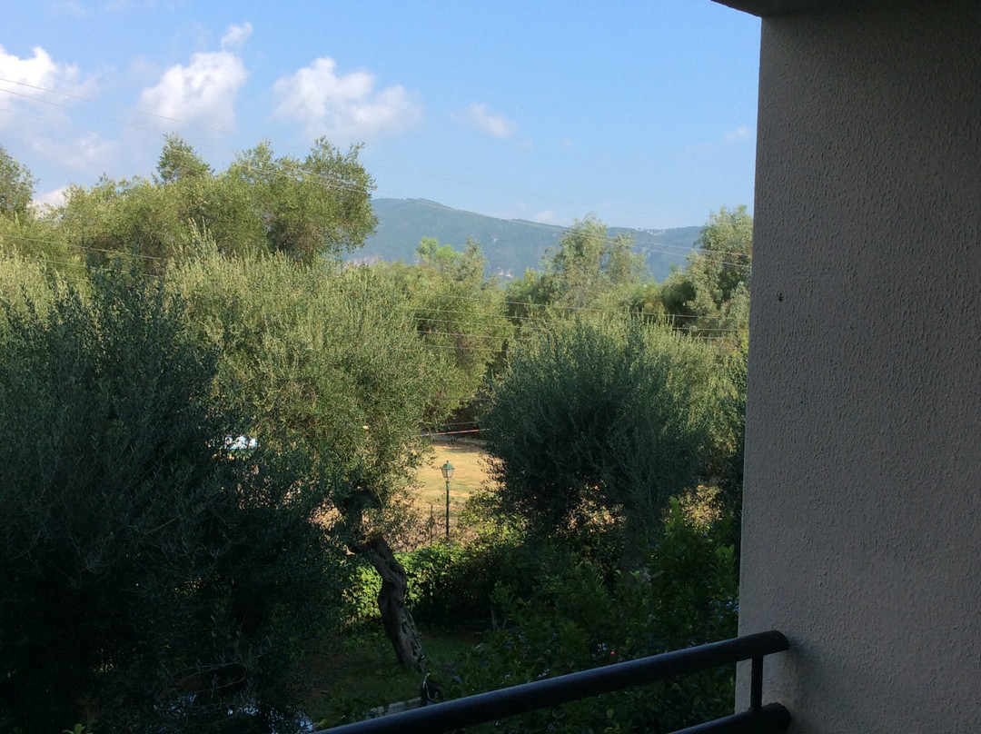 Elea Beach Hotel主图