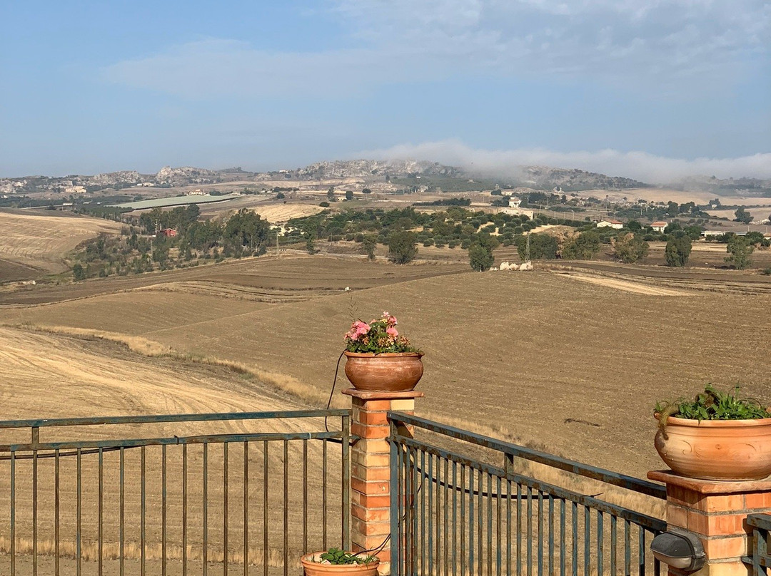 Azienda Agricola Silvia Sillitti主图