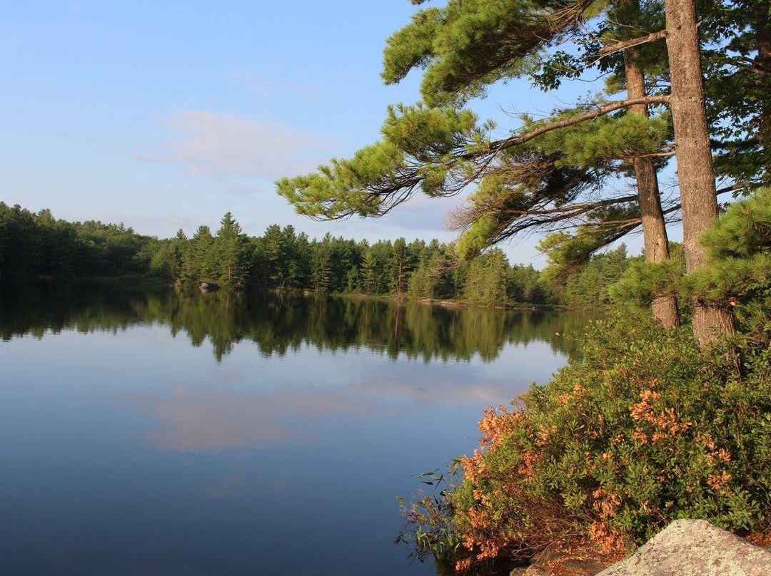 Kawartha Highlands Provincial Park景点图片