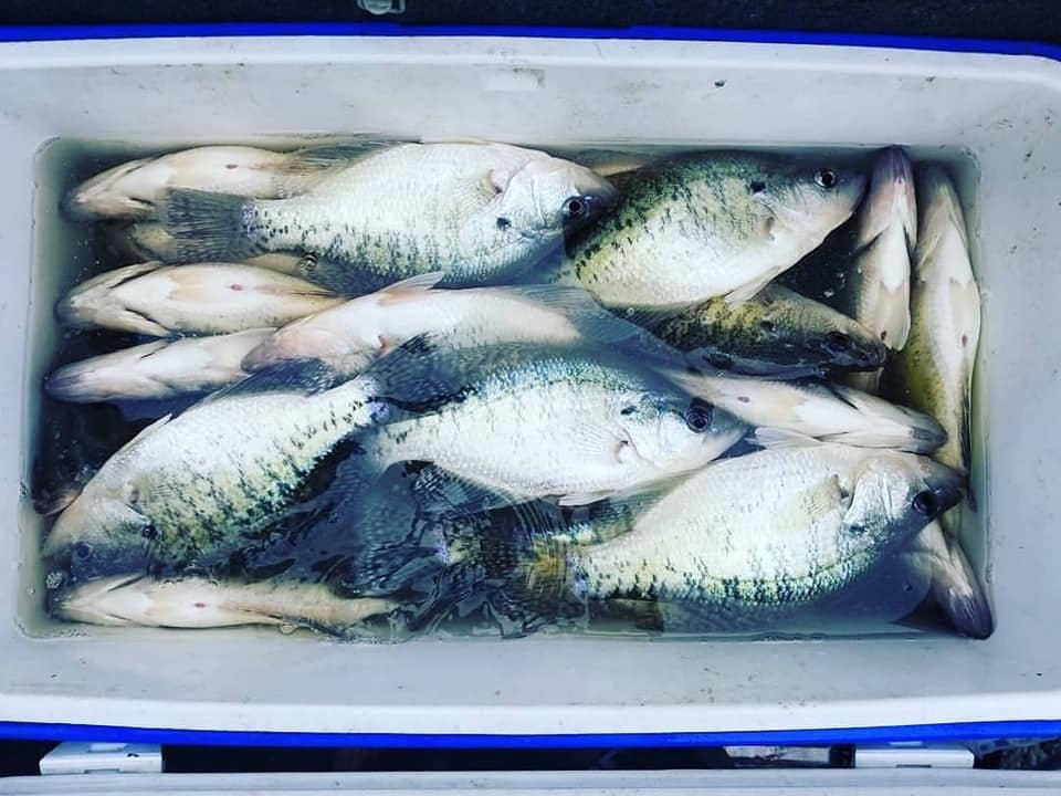 Green River Lake State Park-Campbellsville必去景点