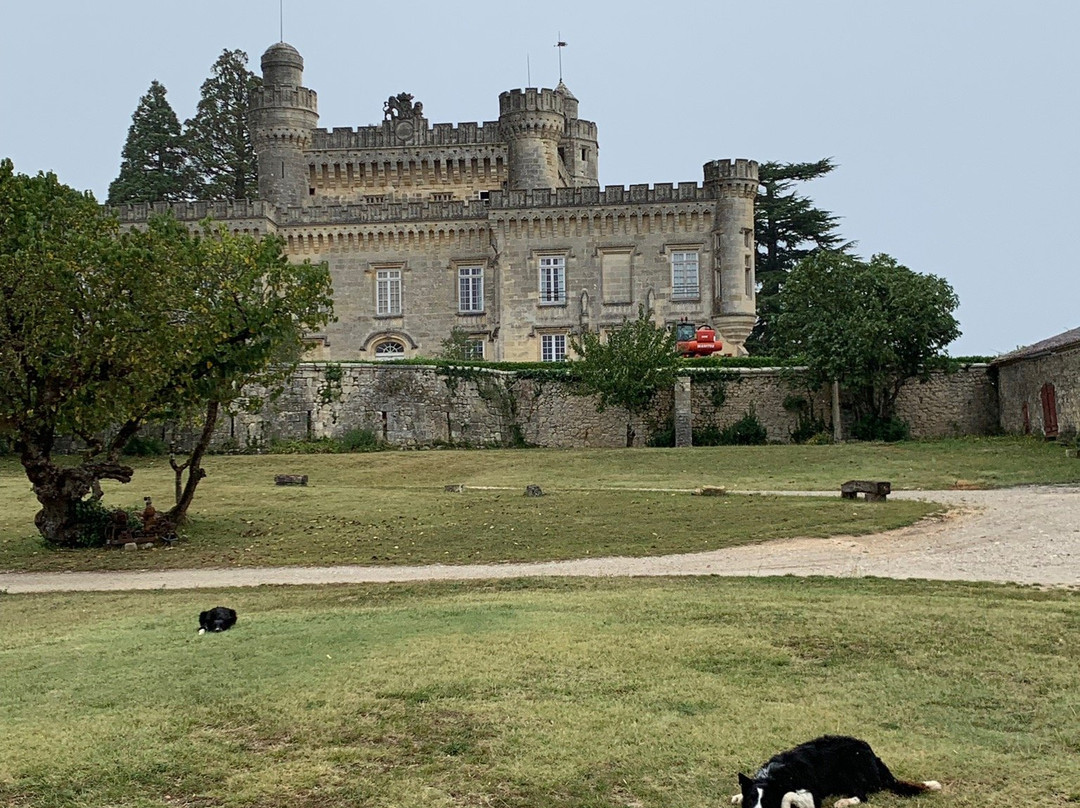 Chateau de Camarsac景点图片