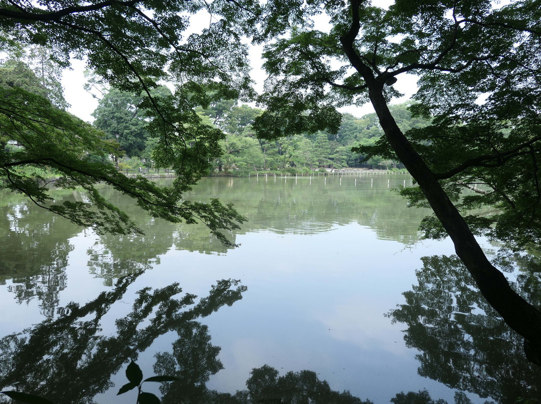 Zempukuji Park景点图片