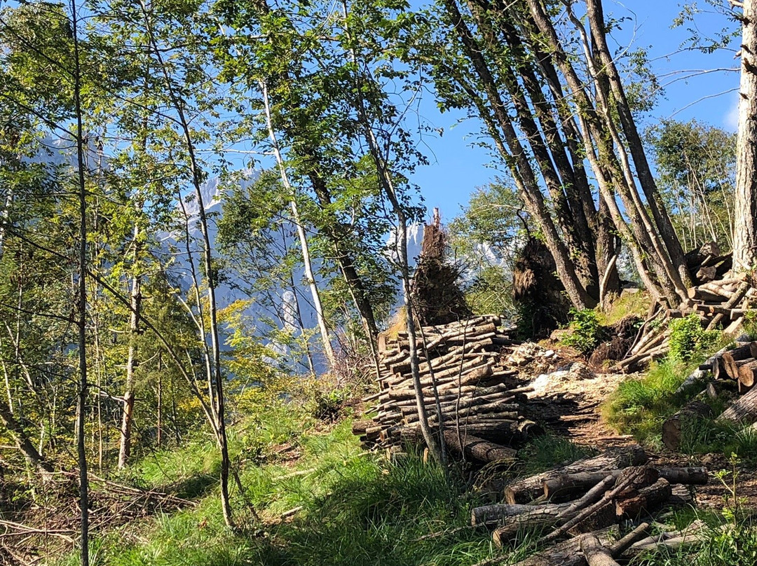 Sentiero Natura della Val Falcina景点图片