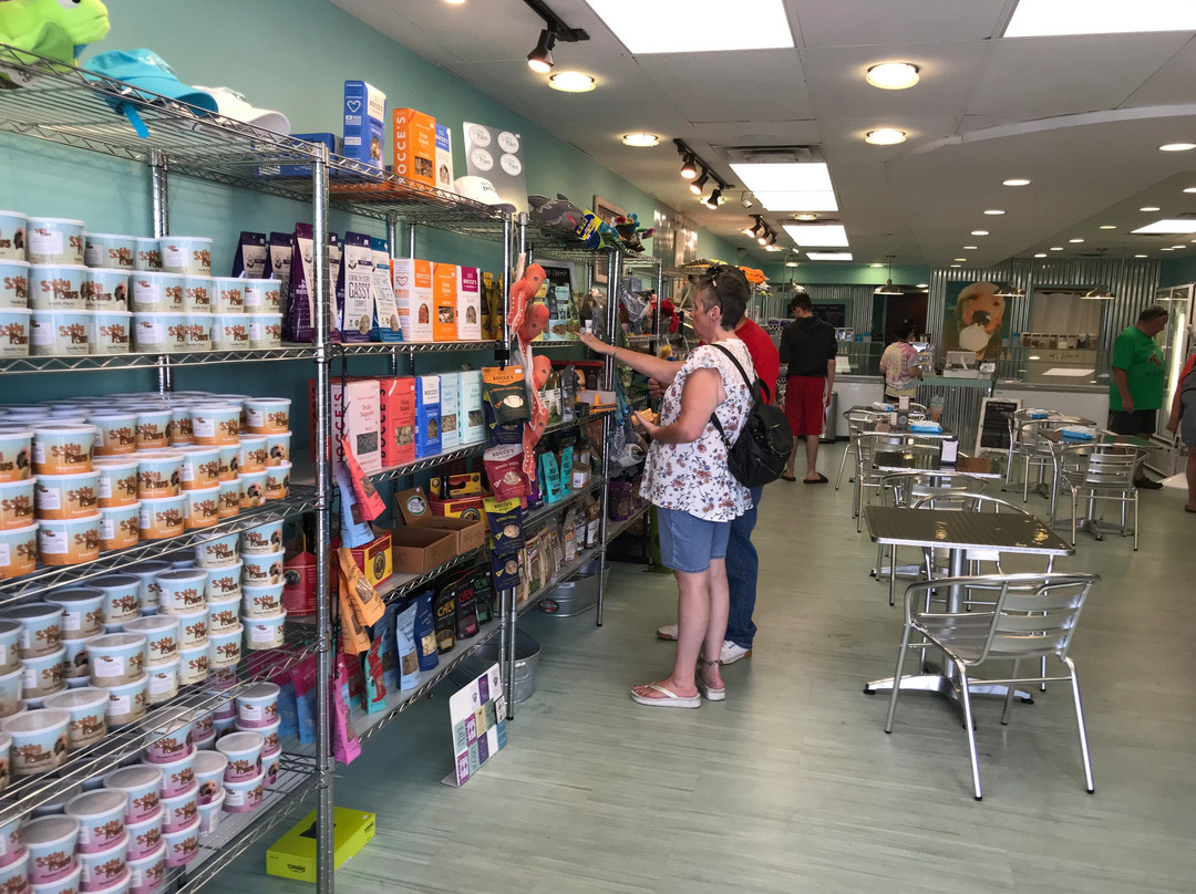 Salty Paws-里霍博斯比奇必去景点