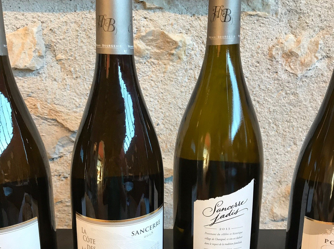 Domaine Henri Bourgeois-桑塞尔必去景点
