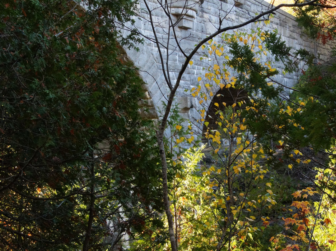 Duck Brook Bridge-巴港必去景点