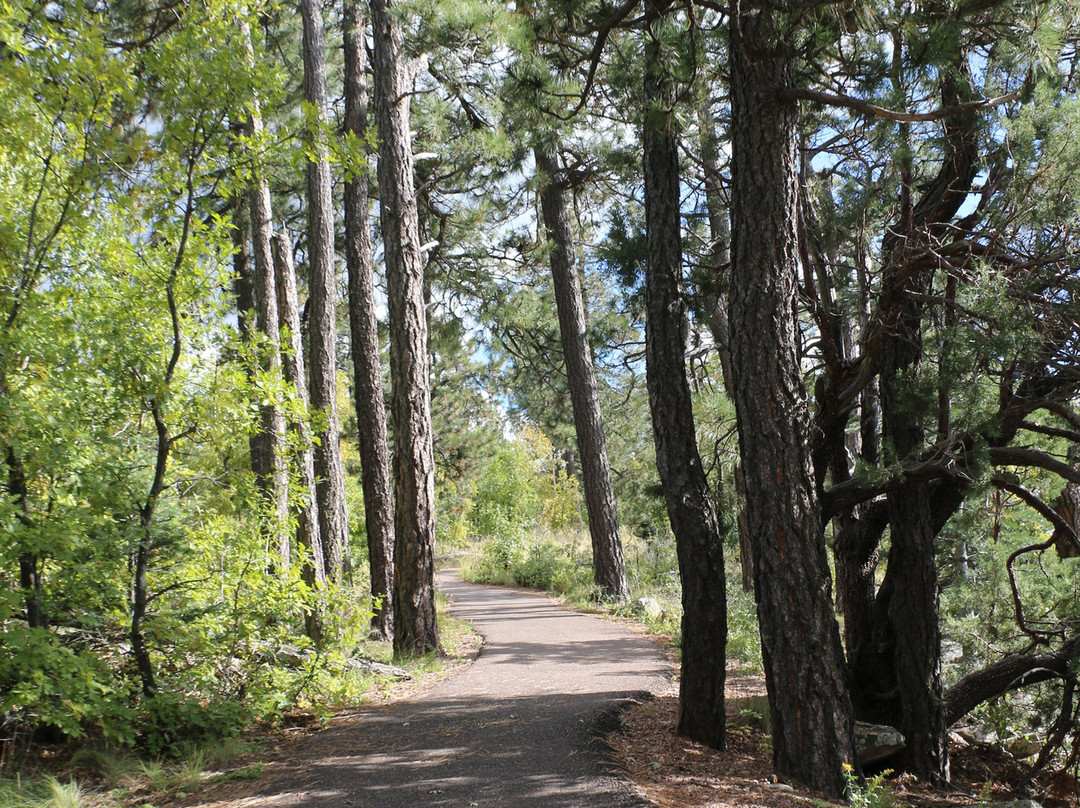 Rim Lakes Vista Trail-Payson必去景点