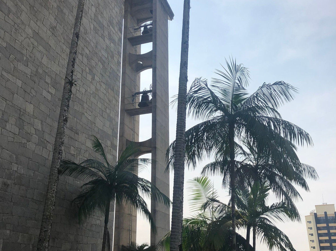 Matriz de Sao Luiz Gonzaga Church-Brusque必去景点