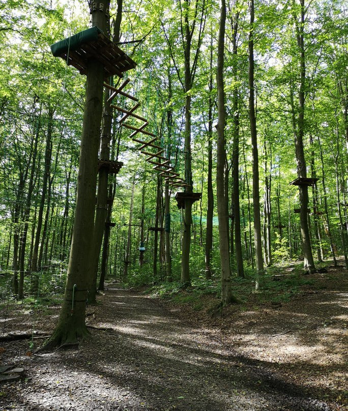 Gorilla Park Vejle景点图片
