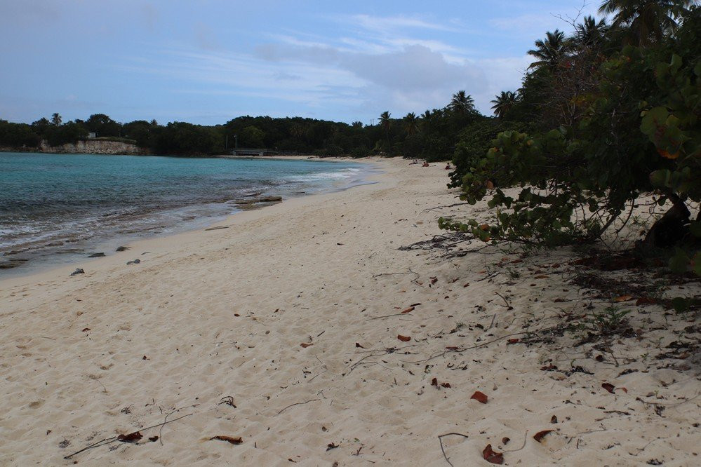 Plage du Vieux Fort-Marie-Galante必去景点