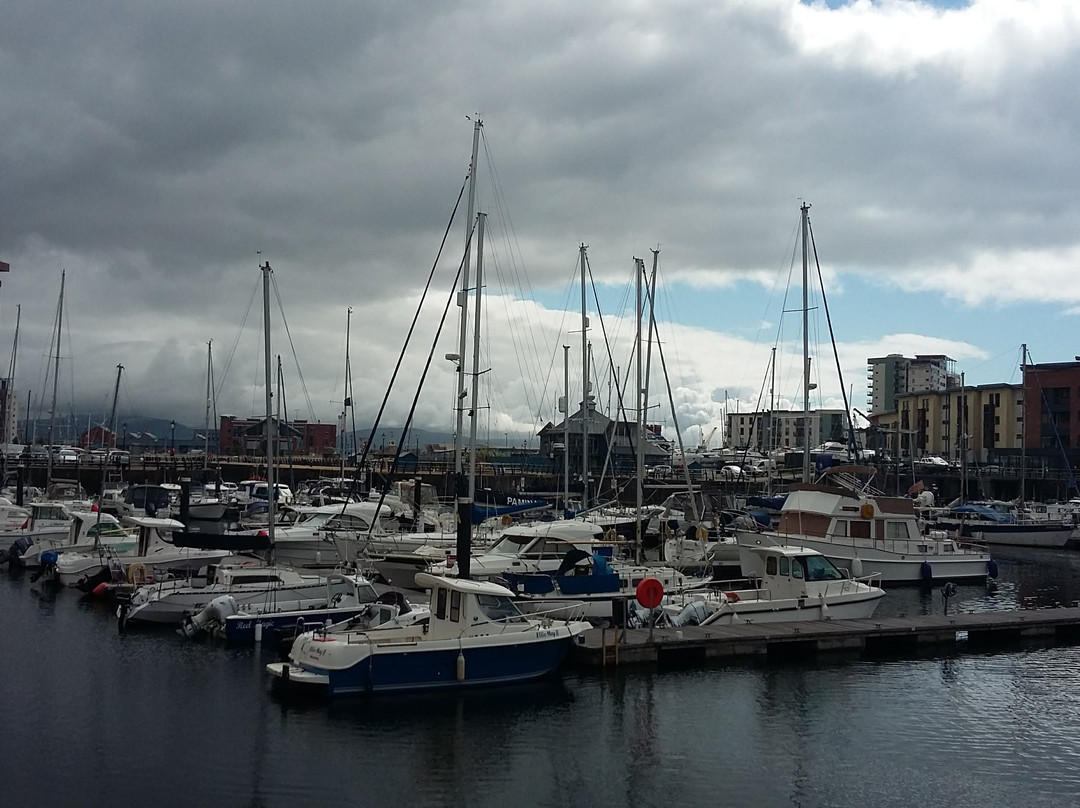 Swansea Marina景点图片