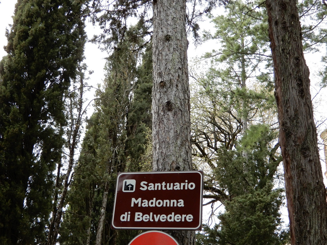 Santuario della Madonna di Belvedere景点图片