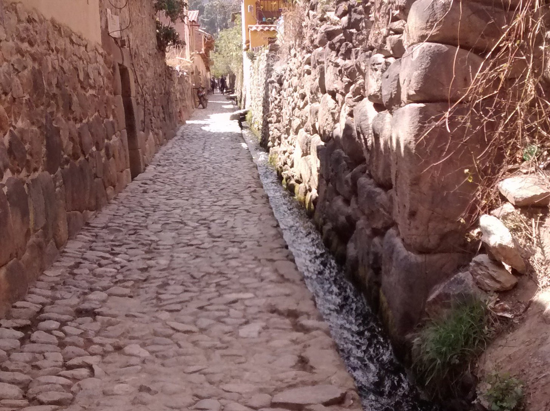 Picaflor Tambo Guest House主图